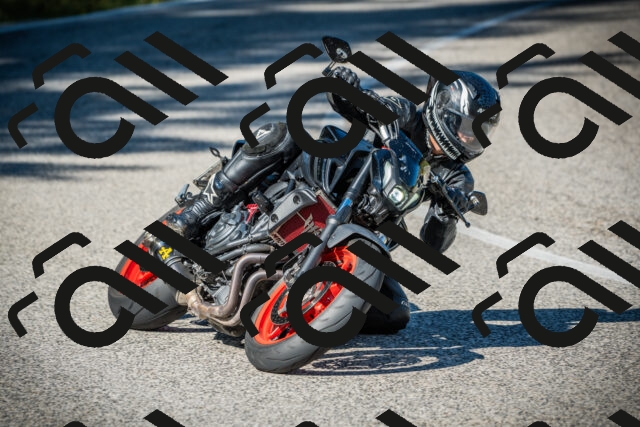 202509131111-DSC02202_c1_