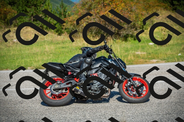 202509131111-DSC02203_c1_