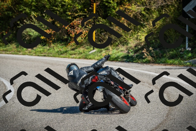 202509131111-DSC02205_c1_