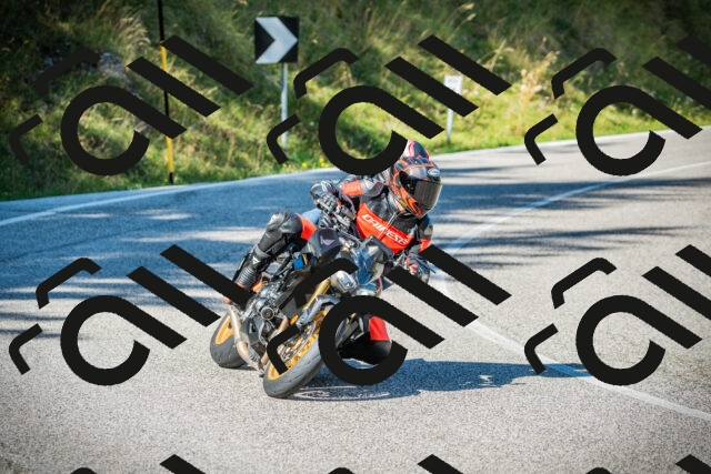 202509131112-DSC02222_c1_