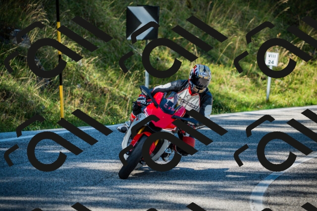 202509131112-DSC02235_c1_