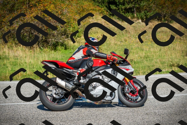 202509131112-DSC02238_c1_