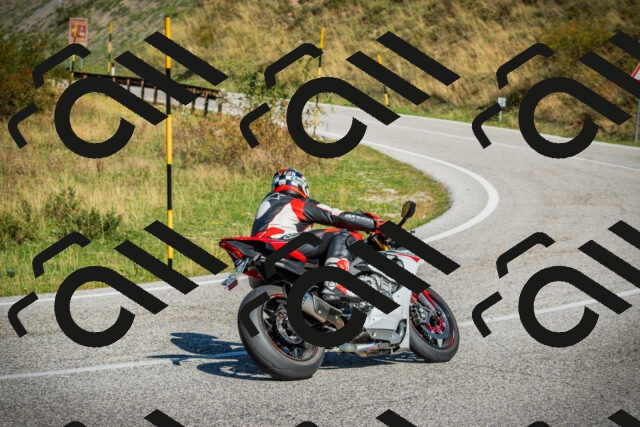 202509131112-DSC02239_c1_