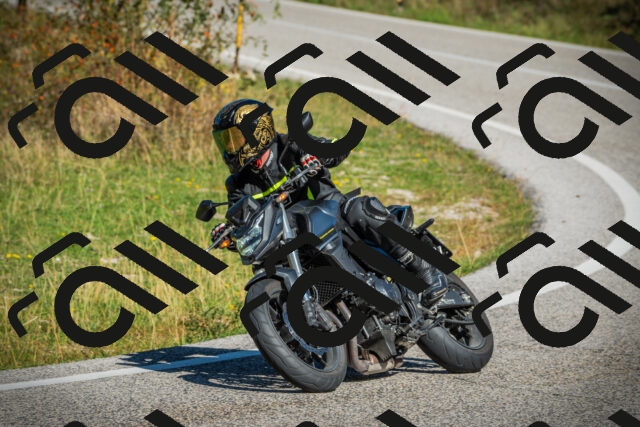 202509131113-DSC02254_c1_