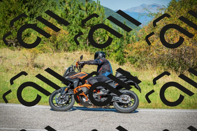 202509131113-DSC02258_c1_