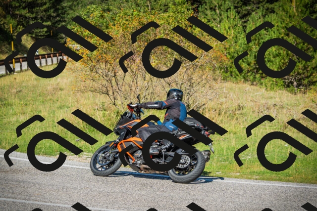 202509131113-DSC02259_c1_