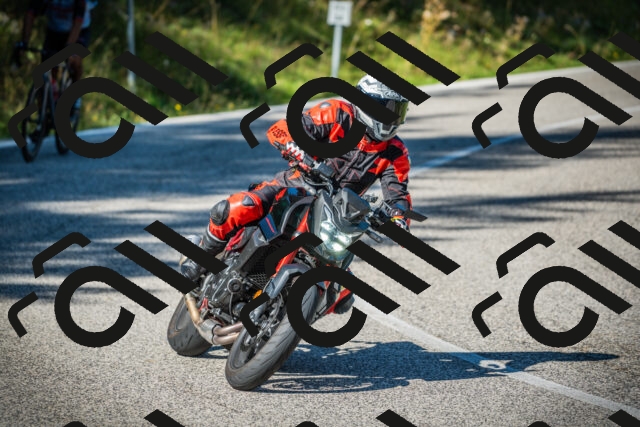 202509131115-DSC02290_c1_