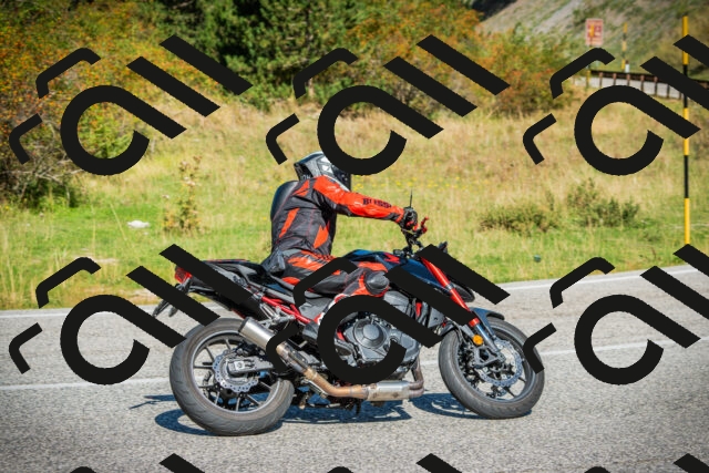 202509131115-DSC02292_c1_