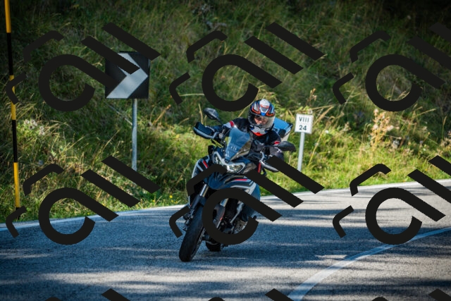 202509131115-DSC02295_c1_