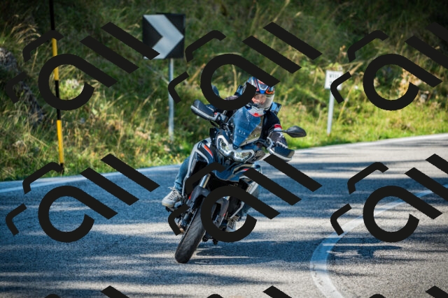 202509131115-DSC02296_c1_