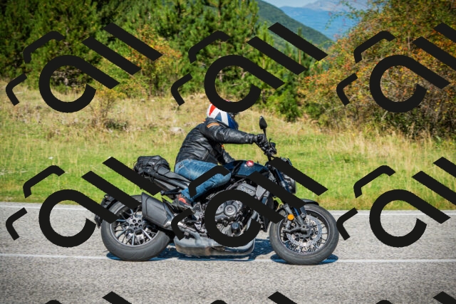 202509131116-DSC02309_c1_