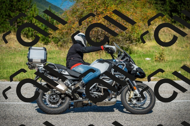 202509131116-DSC02311_c1_