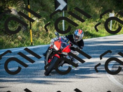 202509131117-DSC02315_c1_