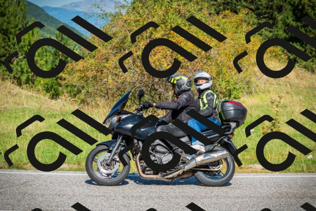 202509131118-DSC02325_c1_