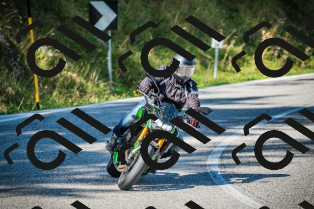 202509131118-DSC02329_c1_