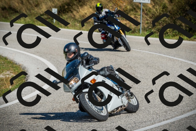 202509131119-DSC02345_c1_