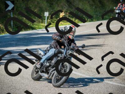 202509131121-DSC02368_c1_