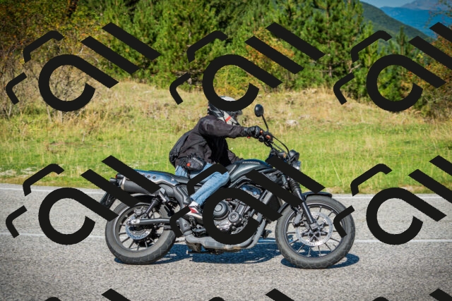 202509131121-DSC02369_c1_