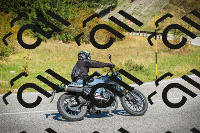 202509131121-DSC02370_c1_