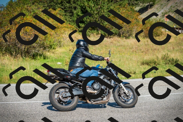 202509131122-DSC02389_c1_