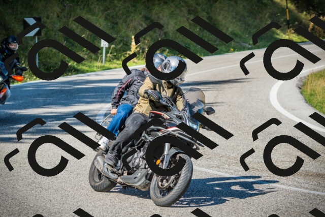 202509131122-DSC02393_c1_