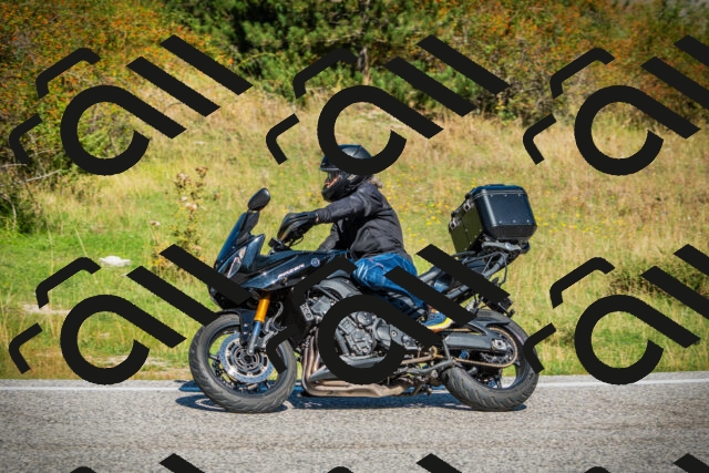 202509131122-DSC02402_c1_