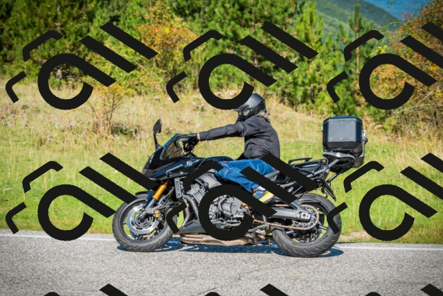 202509131122-DSC02403_c1_