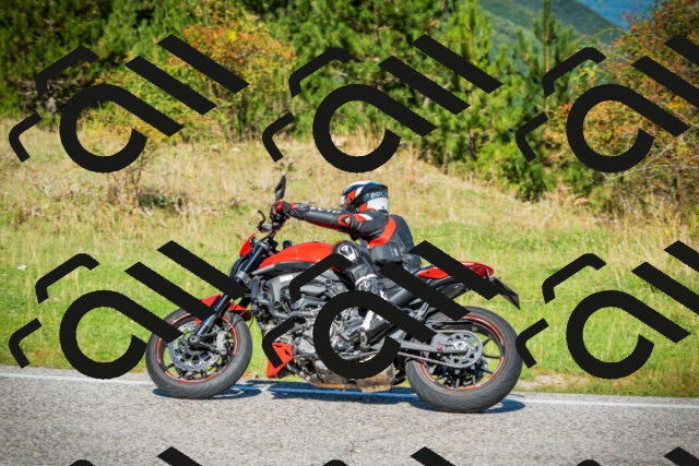 202509131123-DSC02410_c1_