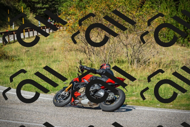 202509131127-DSC02431_c1_