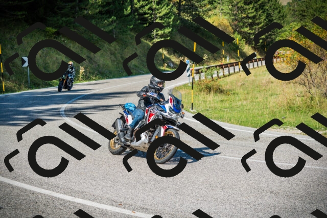 202509131127-DSC02445_c1_