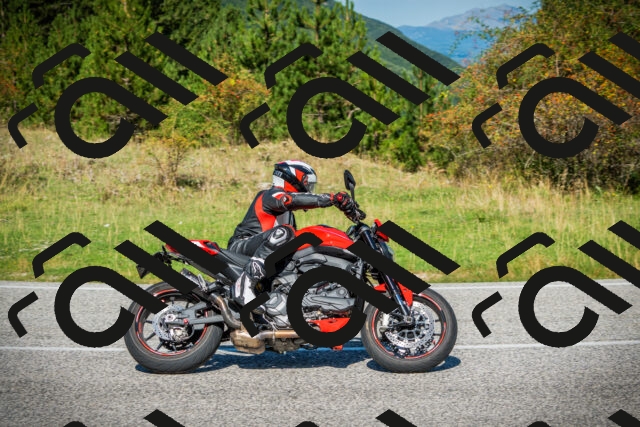 202509131128-DSC02451_c1_