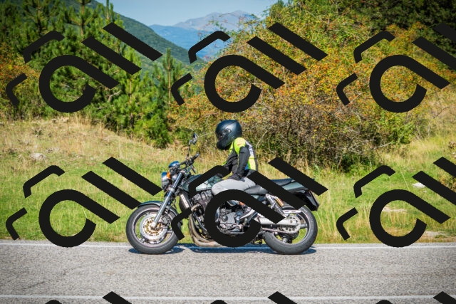 202509131129-DSC02502_c1_