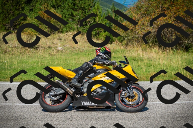 202509131129-DSC02517_c1_