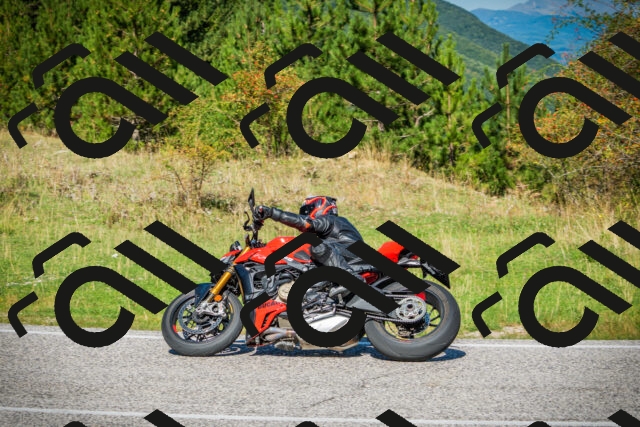 202509131129-DSC02520_c1_