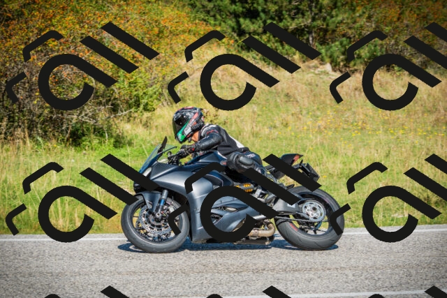 202509131130-DSC02528_c1_