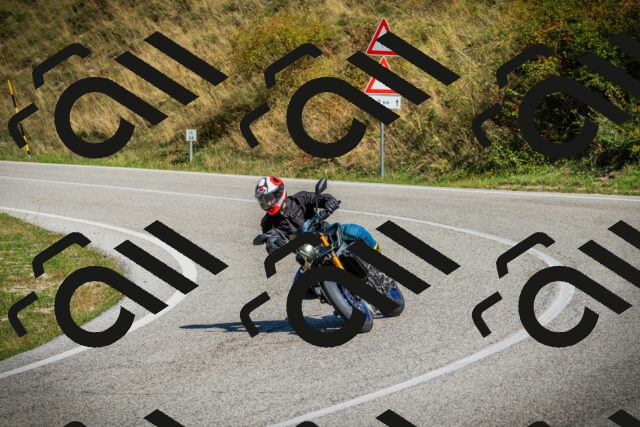 202509131130-DSC02531_c1_