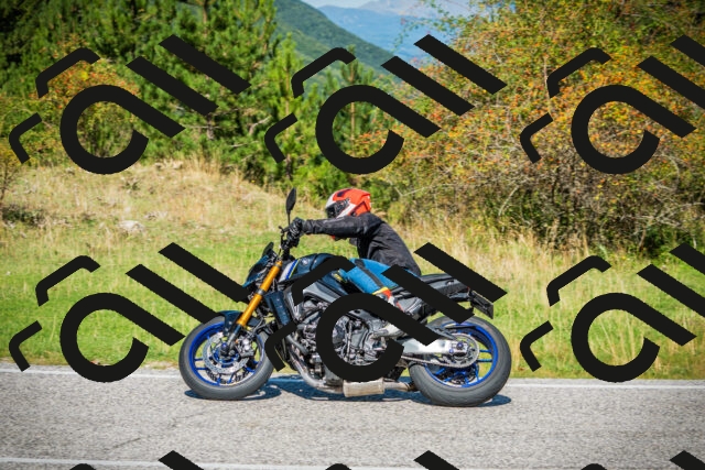 202509131130-DSC02533_c1_