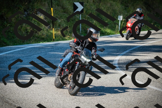 202509131130-DSC02537_c1_