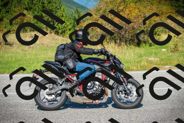 202509131130-DSC02539_c1_