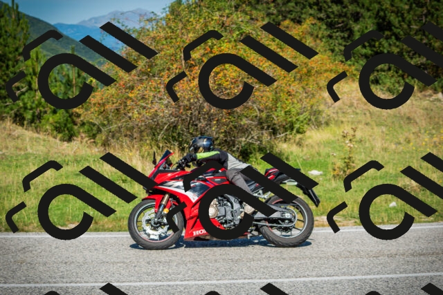 202509131132-DSC02575_c1_