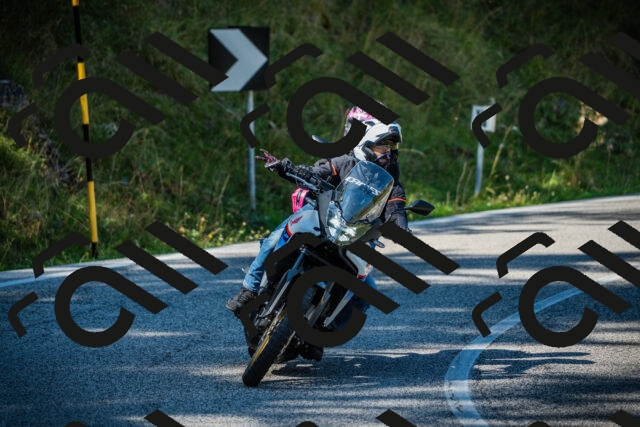 202509131133-DSC02583_c1_