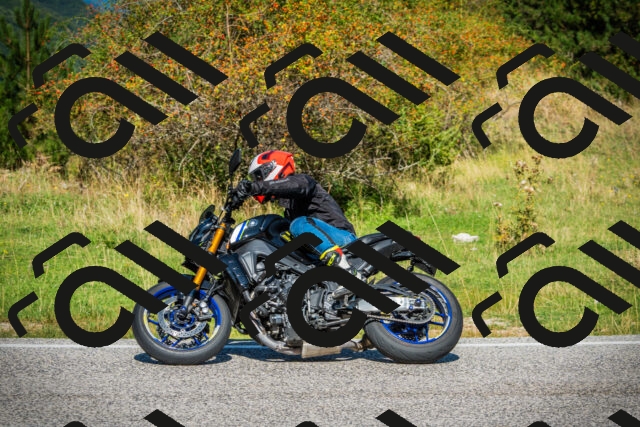 202509131136-DSC02642_c1_