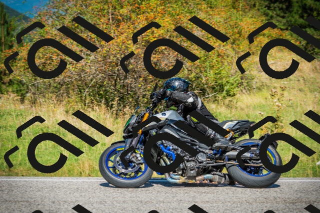 202509131137-DSC02679_c1_