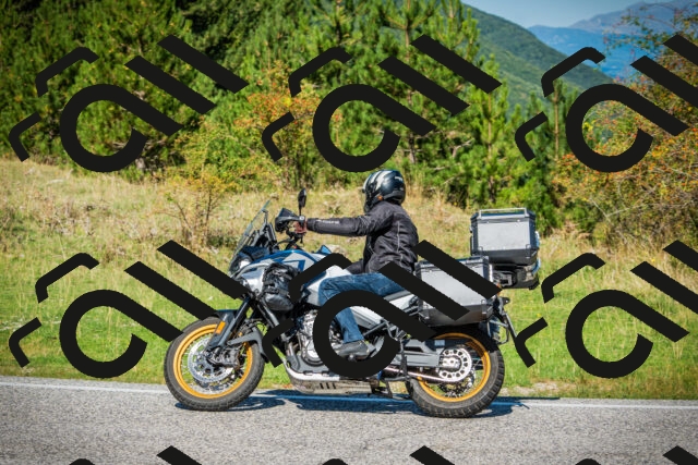 202509131138-DSC02695_c1_