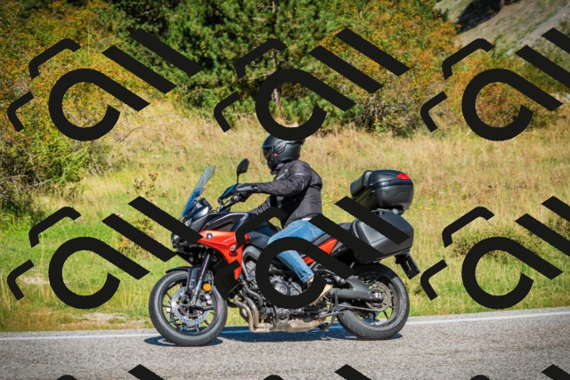 202509131138-DSC02700_c1_