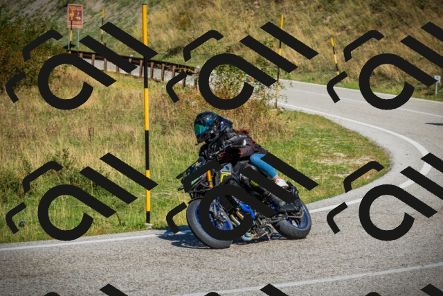 202509131140-DSC02754_c1_