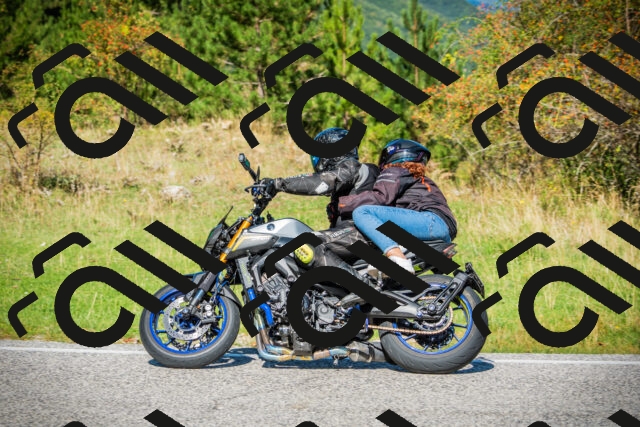 202509131140-DSC02755_c1_