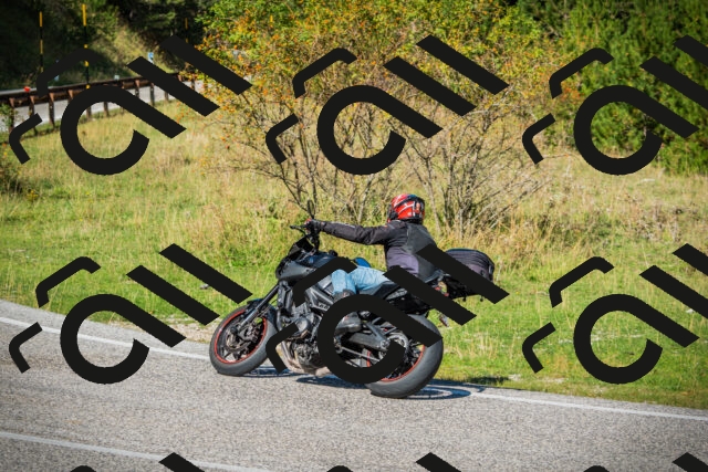 202509131144-DSC02862_c1_