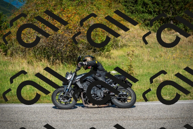 202509131145-DSC02863_c1_