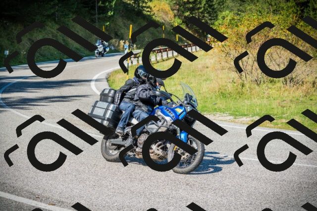 202509131145-DSC02879_c1_